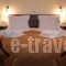 Zagori Philoxenia Hotel_best prices_in_Hotel_Epirus_Ioannina_Papiggo