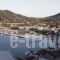 Irene House_best prices_in_Room_Sporades Islands_Skopelos_Skopelos Chora