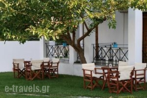 Albatros Rooms_holidays_in_Apartment_Sporades Islands_Skopelos_Skopelos Chora