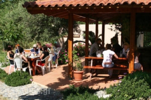 Youth Hostel Plakias_best prices_in_Room_Crete_Rethymnon_Plakias