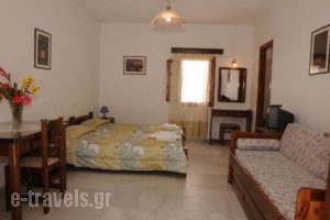 Birikos_lowest prices_in_Apartment_Cyclades Islands_Naxos_Agios Prokopios