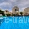 Phevos Villa_holidays_in_Villa_Cyclades Islands_Sandorini_Perissa