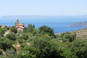 One Foot On The Mountain_accommodation_in_Room_Peloponesse_Messinia_Kardamyli