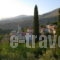 One Foot On The Mountain_holidays_in_Room_Peloponesse_Messinia_Kardamyli