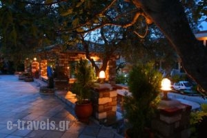 Pontios_lowest prices_in_Hotel_Aegean Islands_Thasos_Chrysi Ammoudia