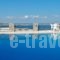 Alex Hotel_holidays_in_Hotel_Cyclades Islands_Mykonos_Mykonos ora