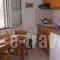 Chrisanthi Studios & Apartments_best prices_in_Apartment_Crete_Rethymnon_Plakias