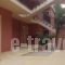 Anna Studios_best deals_Apartment_Ionian Islands_Kefalonia_Lourdata