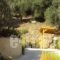 Anna Studios_best prices_in_Apartment_Ionian Islands_Kefalonia_Lourdata