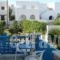 Aegeon Pension_accommodation_in_Hotel_Cyclades Islands_Paros_Parasporos