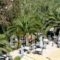 Villa Paramonas_holidays_in_Villa_Ionian Islands_Corfu_Paramonas