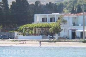 Stella_accommodation_in_Apartment_Cyclades Islands_Andros_Andros Chora