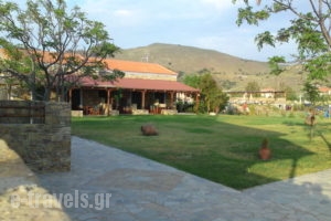 Villa Victoria_lowest prices_in_Villa_Aegean Islands_Limnos_Myrina