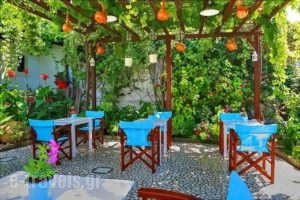 Eleni Rooms_travel_packages_in_Cyclades Islands_Paros_Paros Chora