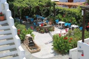 Eleni Rooms_holidays_in_Hotel_Cyclades Islands_Paros_Paros Chora