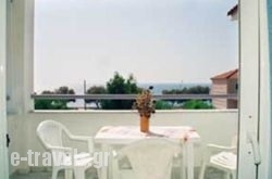Porto Focas Studios_s __1