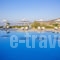 Aeolos_holidays_in_Apartment_Cyclades Islands_Paros_Chrysi Akti