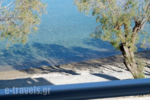 Hotel Paros_holidays_in_Hotel_Cyclades Islands_Paros_Paros Chora