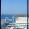 Villa Aegeo Studios_best prices_in_Villa_Cyclades Islands_Andros_Batsi