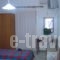 Villa Aegeo Studios_lowest prices_in_Villa_Cyclades Islands_Andros_Batsi