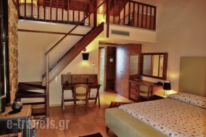 Orizontes Tzoumerkon Hotel Resort_travel_packages_in_Macedonia_Grevena_Grevena City