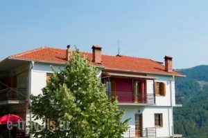 Oresivio_best deals_Hotel_Epirus_Ioannina_Metsovo