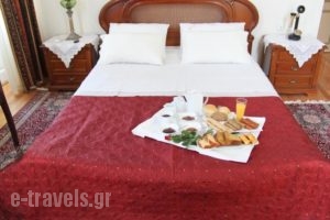 Hotel Panellinion_holidays_in_Hotel_Thessaly_Trikala_Trikala City
