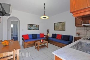 Scorpio Studios & Apartments_holidays_in_Room_Cyclades Islands_Paros_Naousa