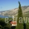Christos Studios_best deals_Room_Ionian Islands_Kefalonia_Kefalonia'st Areas