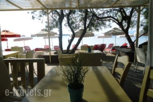 Eviana Beach ex Perigiali_travel_packages_in_Central Greece_Evia_Eretria