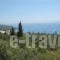 Eleni Studios_travel_packages_in_Ionian Islands_Kefalonia_Lourdata