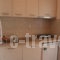 Haus Maria_best deals_Apartment_Macedonia_Halkidiki_Nea Moudania