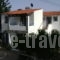 Chris Apartments_holidays_in_Apartment_Aegean Islands_Samos_MarathoKambos