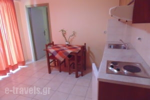 Bayside Apartments_lowest prices_in_Apartment_Ionian Islands_Lefkada_Vasiliki
