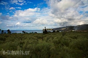 Kardamili Villas_travel_packages_in_Peloponesse_Messinia_Kardamyli