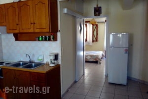 Louiza Apartments_best prices_in_Apartment_Central Greece_Fokida_Galaxidi