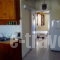 Louiza Apartments_best prices_in_Apartment_Central Greece_Fokida_Galaxidi