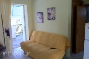Iris Apartments_accommodation_in_Apartment_Macedonia_Halkidiki_Fourka