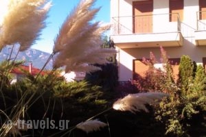 Karipidis Hotel_travel_packages_in_Macedonia_Florina_Aetos