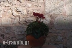 Guesthouse Kazakou in Karlovasi, Samos, Aegean Islands