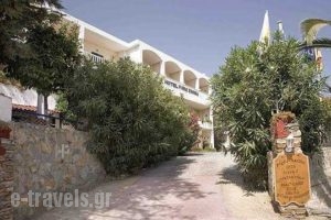 Pighi Sariza_accommodation_in_Hotel_Cyclades Islands_Andros_Apikia