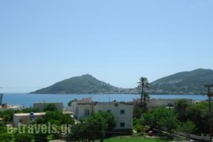 Irene Hotel_holidays_in_Hotel_Dodekanessos Islands_Leros_Leros Chora