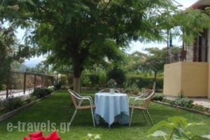Zisis Garden Studios_lowest prices_in_Hotel_Epirus_Ioannina_Ioannina City