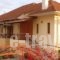 Zisis Garden Studios_best prices_in_Hotel_Epirus_Ioannina_Ioannina City