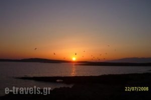 Vounali Rooms_travel_packages_in_Cyclades Islands_Paros_Paros Chora