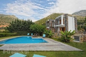 Manolioudis Villas_best deals_Villa_Crete_Rethymnon_Mylopotamos