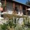 Zephyros_accommodation_in_Hotel_Peloponesse_Arcadia_Stemnitsa