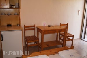 Vergina_lowest prices_in_Hotel_Macedonia_Halkidiki_Nea Potidea