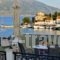 Fiscardo Studios_accommodation_in_Apartment_Ionian Islands_Kefalonia_Fiskardo