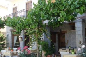 Iris_accommodation_in_Hotel_Central Greece_Fokida_Delfi